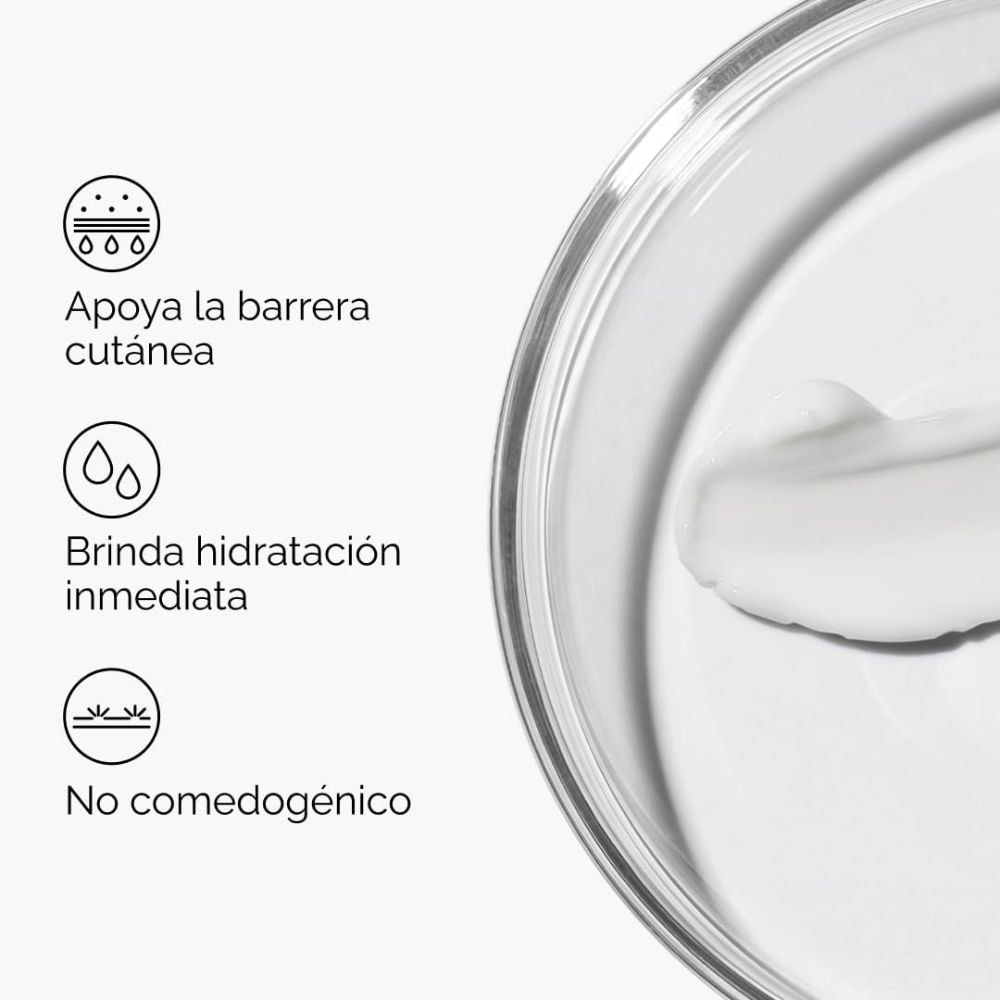 NATURAL MOISTURIZING FACTORS + HA (CREMA HIDRATANTE CON FACTORES HIDRATANTES)
